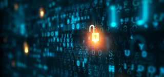 12 Data Security Musts for Small Businesses